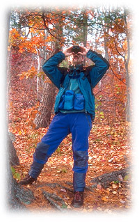 Countryside worker